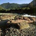 Unit7 Jobs Lesson 37